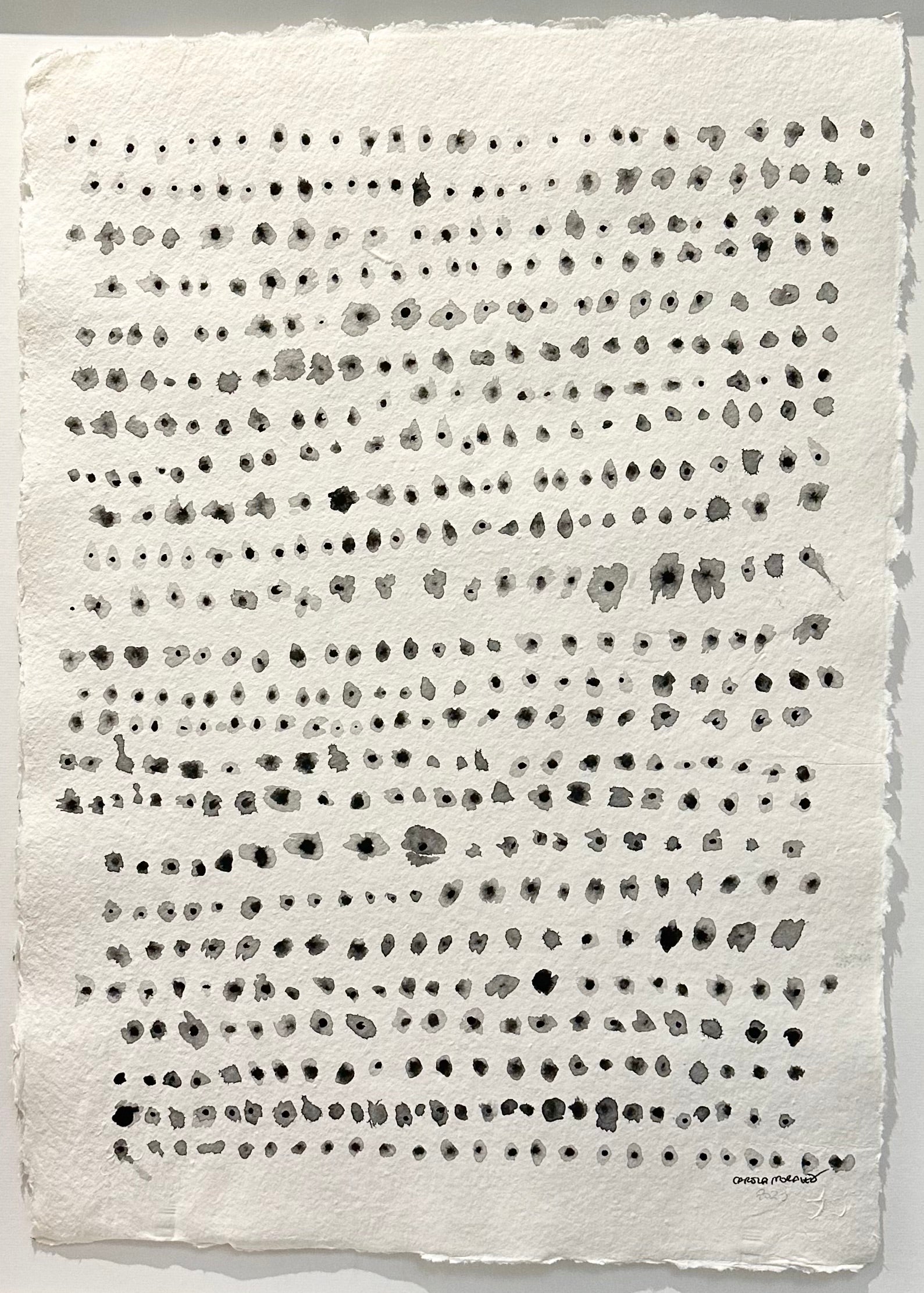 G E N I O     (71cmx53cm)