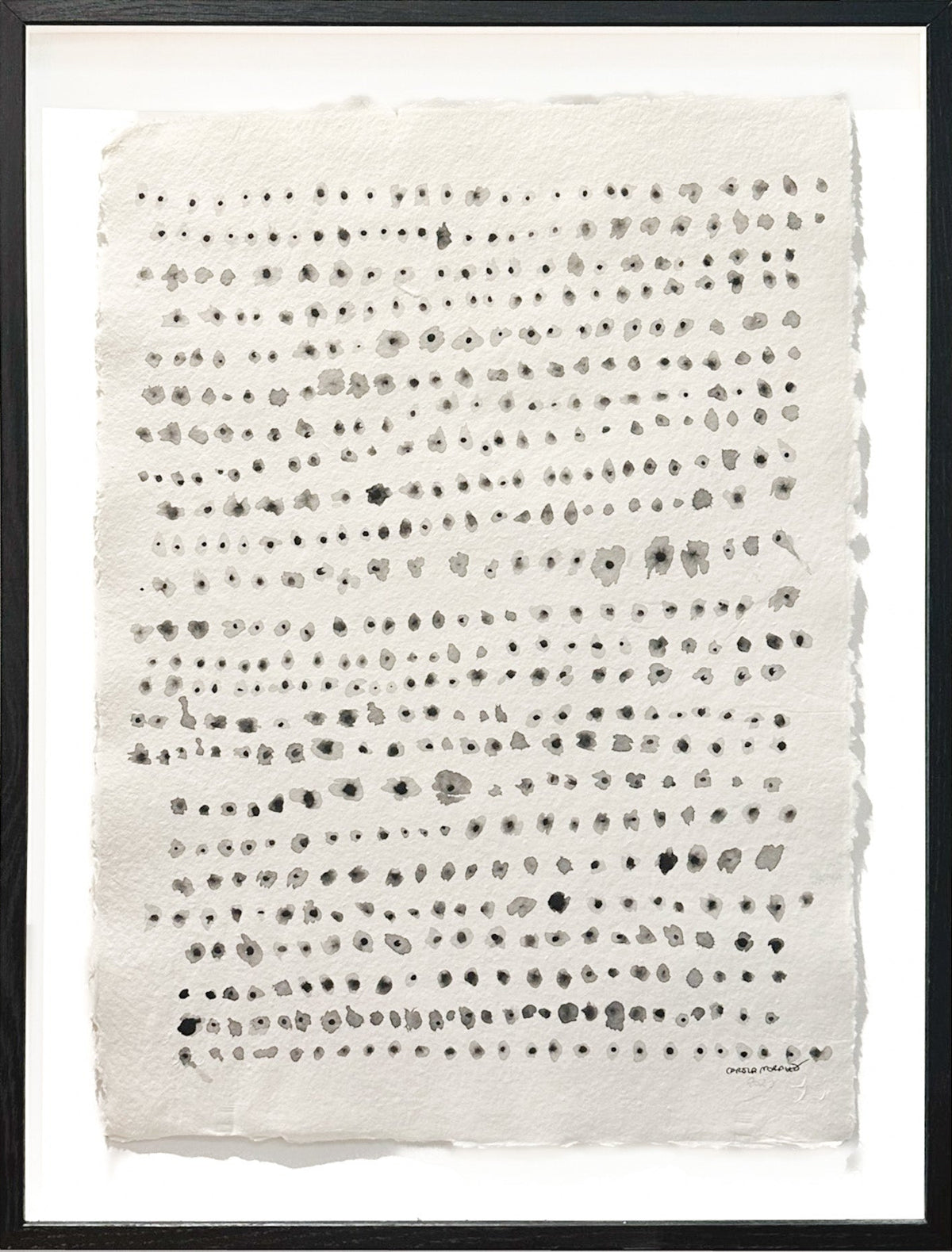 G E N I O     (71cmx53cm)