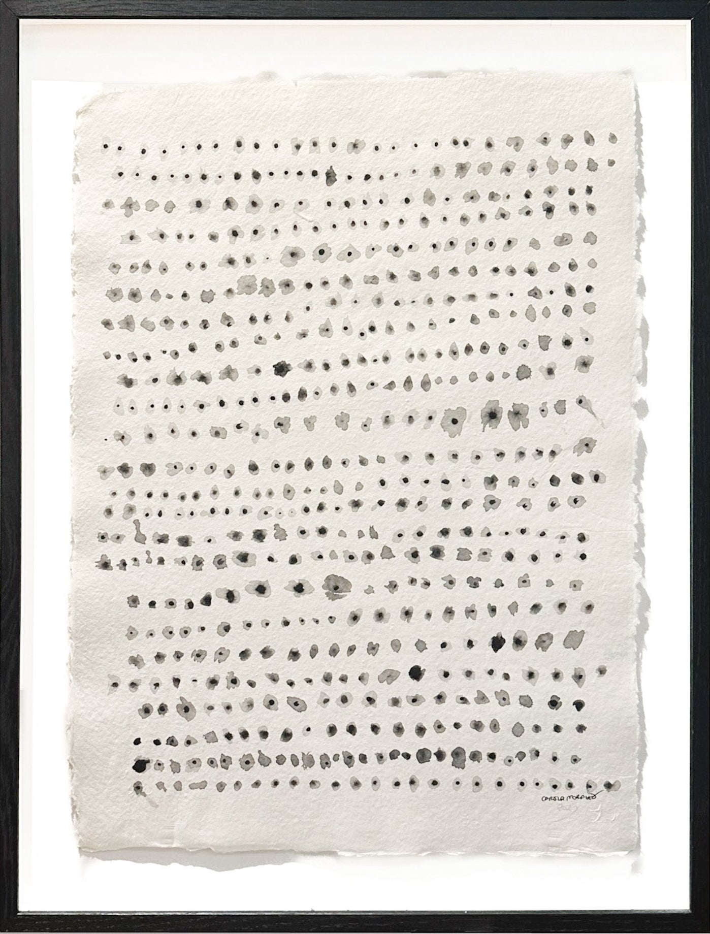 G E N I O     (71cmx53cm)