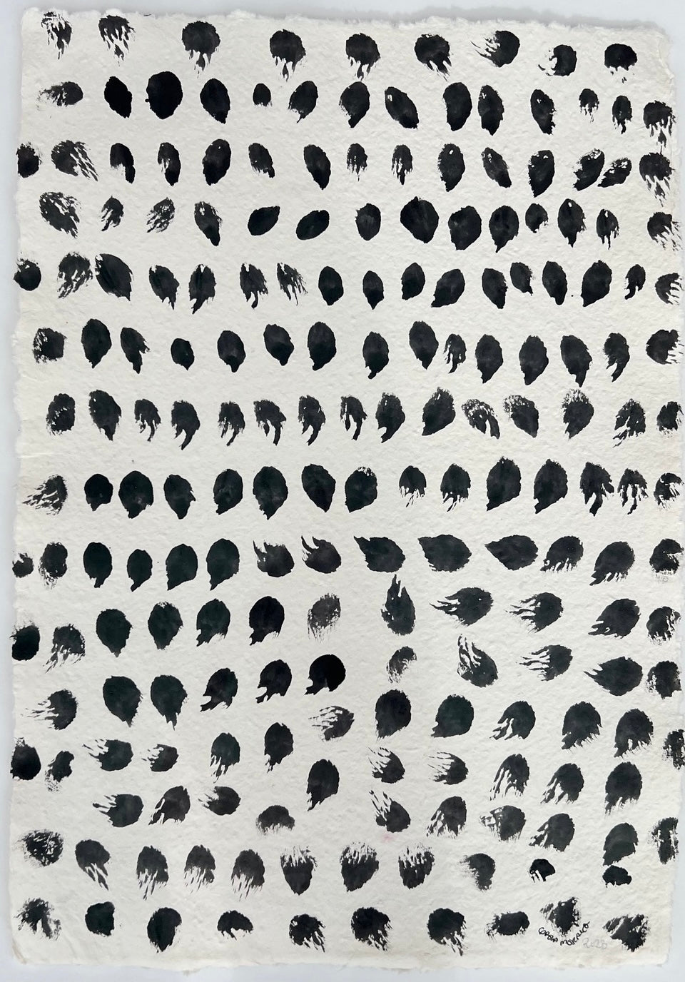 S A L V A J E  (78cmx62cm)